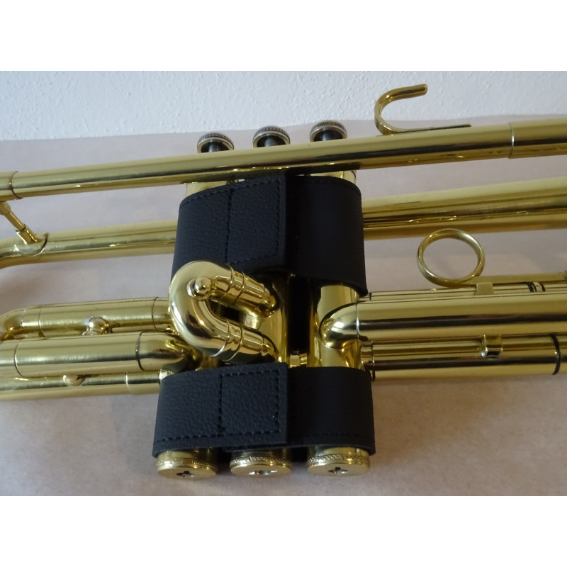 chránič pístů pro trumpetu aS